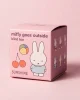 Custom Blind Boxes